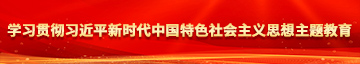 插逼好爽网站学习贯彻习近平新时代中国特色社会主义思想主题教育